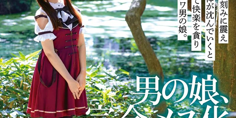 男の娘、完全メス化これくしょん16 イエロー/妄想族 [DVD] [アダルト] Dr.封 (監督) 形式: DVD